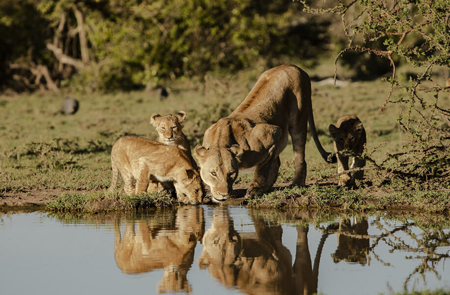 Explore Tanzania