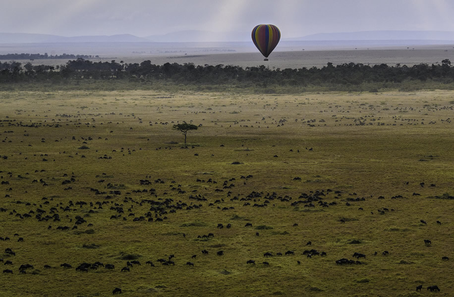 Migration Trails Mara