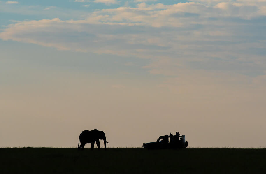 Tanzania Luxury Safari