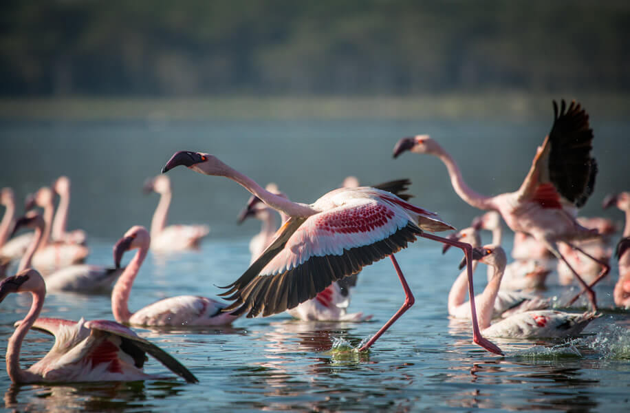 Treasures of Southern Tanzania